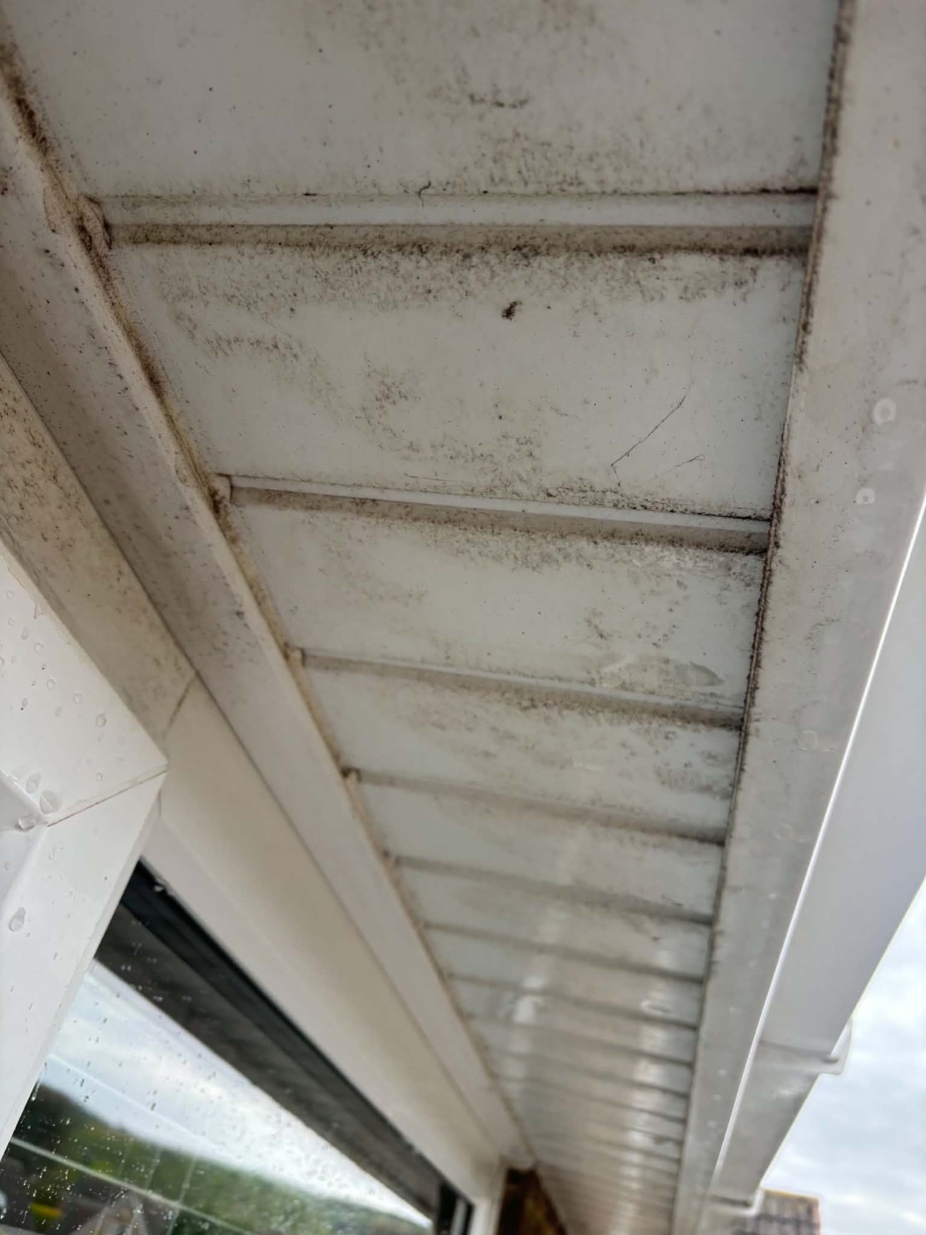 Before — Soffits scrubbed back to bright white