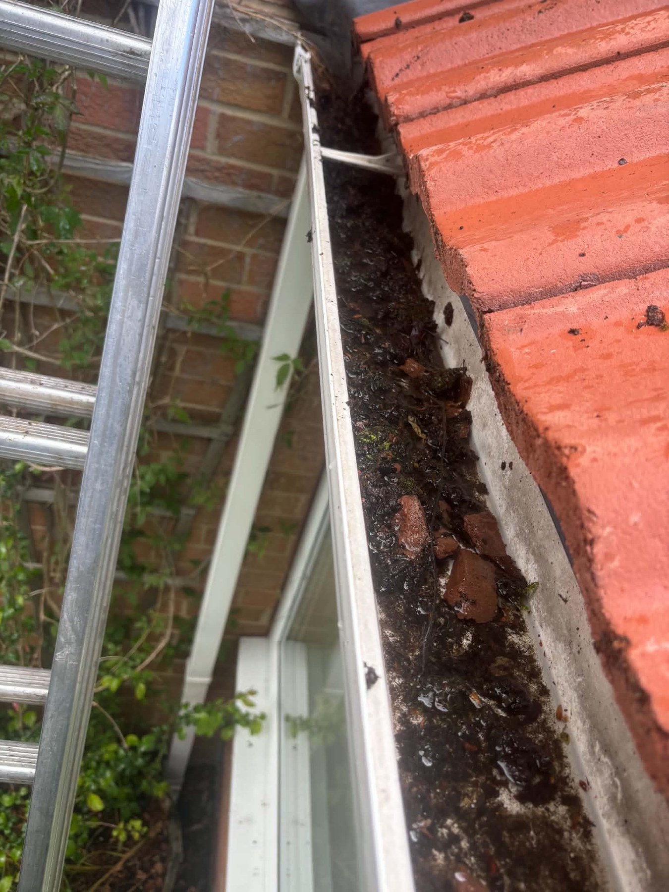 Before — Gutters cleared - rainwater running free again