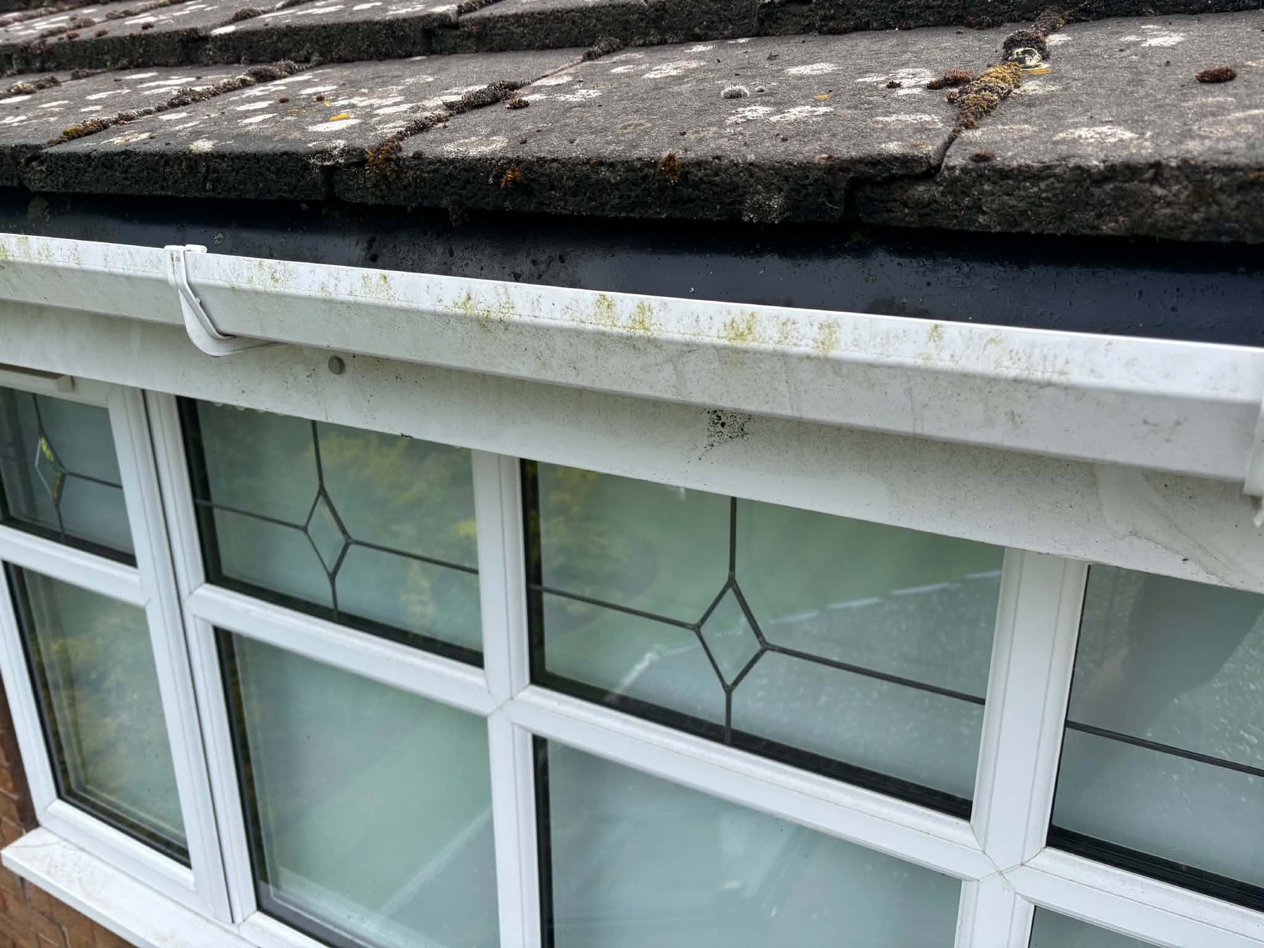 Before — Gutter runs scrubbed clean - no more green streaks